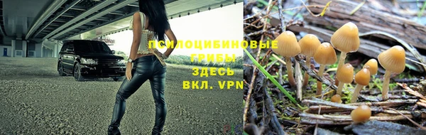 mdpv Лабытнанги