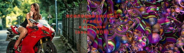 прущий лед Алексин
