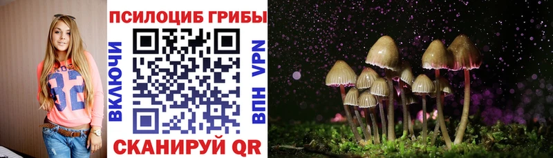 Псилоцибиновые грибы Magic Shrooms  Темрюк 